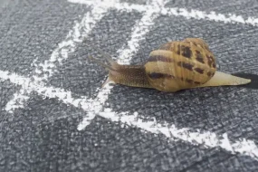 Spirale représentant un processus itératif de création