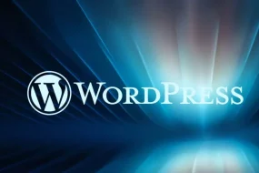 Logo et interface WordPress