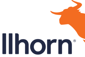 Logo Bullhorn
